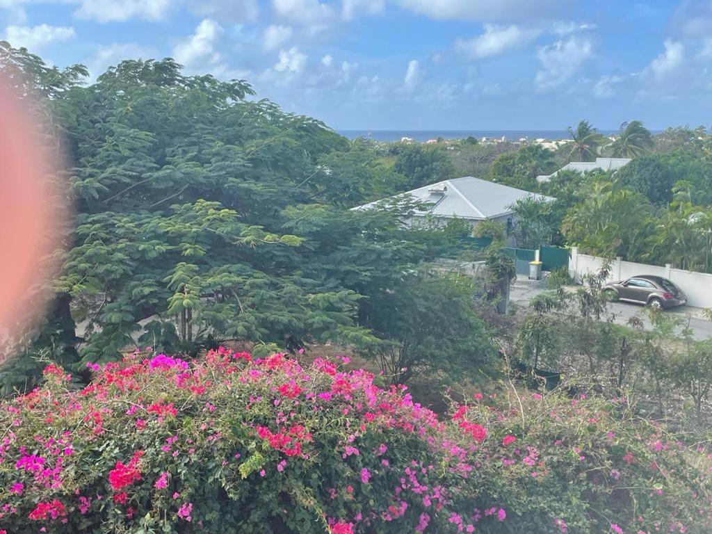 Villa Ste Marthe Avec Piscine, Grande Terrasse, Jardin Intime Et Citerne D'Eau Saint-Francois  Eksteriør bilde